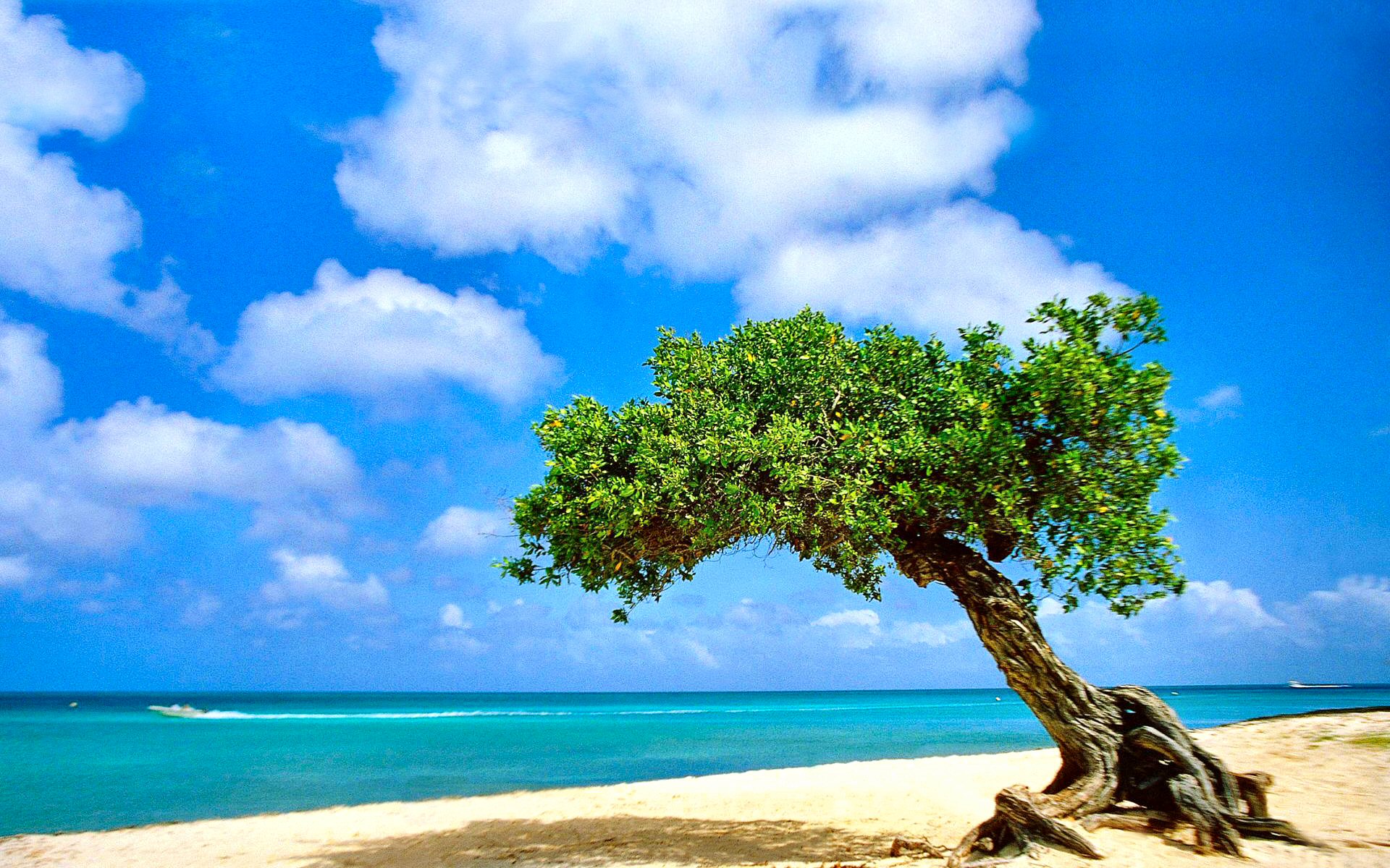世界体能恢复公益课堂乡镇版课程包用户满意度报告发布，世界体能大赛